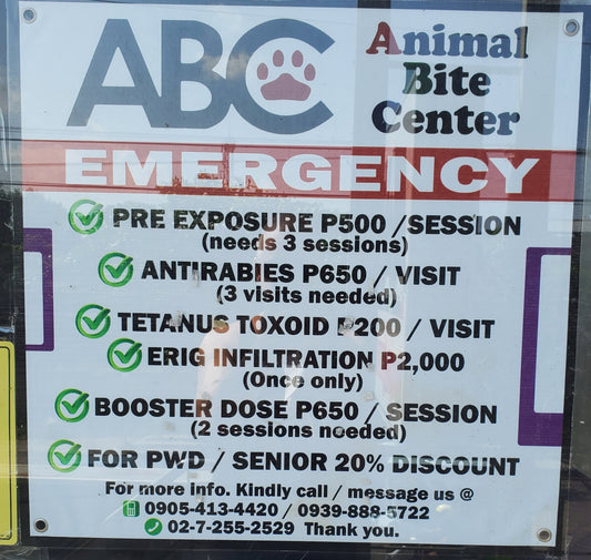 Living Or Traveling In The Philippines: Dog Bite Guide